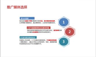 寵物食品品牌推廣策略 從網(wǎng)絡營銷到市場策劃的全方位指南