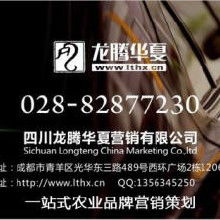 品牌策劃與網絡營銷 從策略到執行的全方位解析